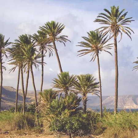 Casa Marlene 度假居 *