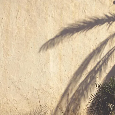 Casa Marlene 度假居 *